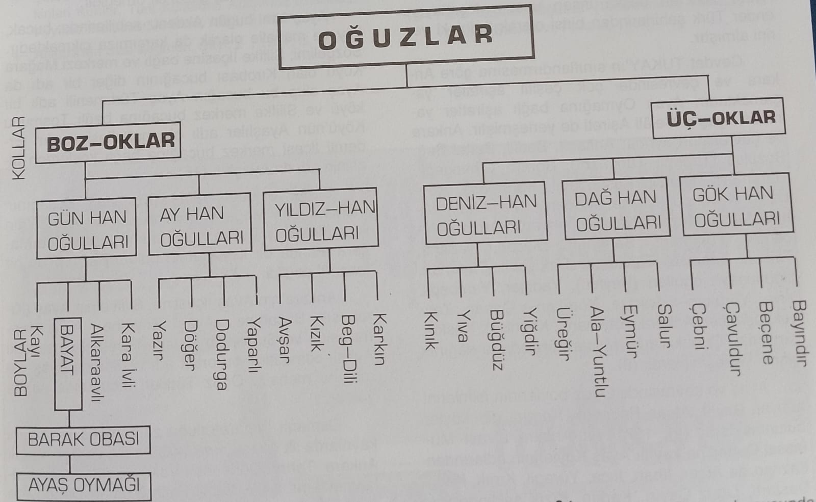 Ayaş'ın Soy Kütüğü